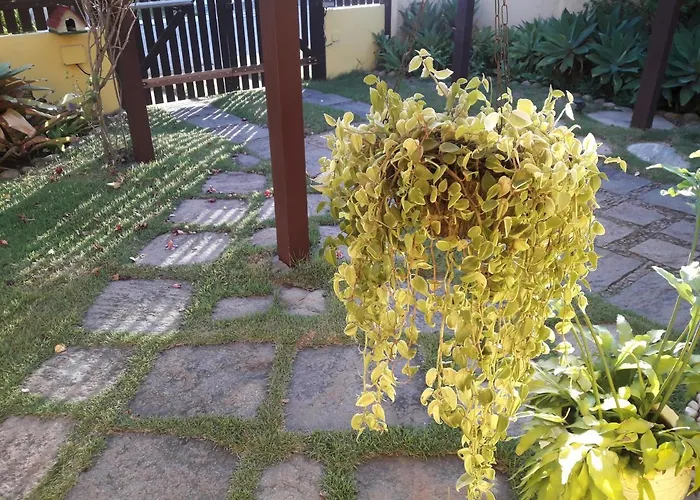 Casa Da Ogiva
